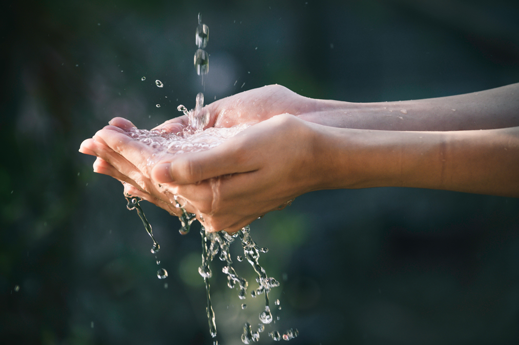 Achat ou location d’une fontaine à eau